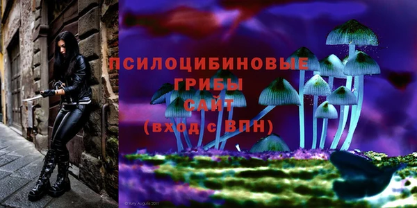 стафф Абаза