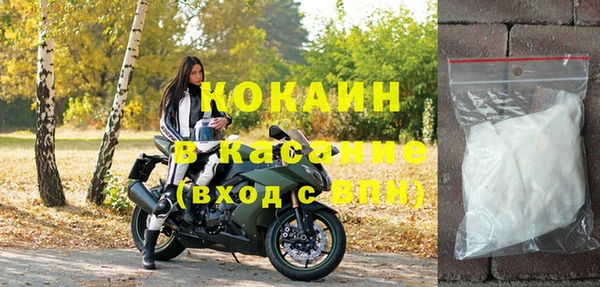 сатива Алексеевка