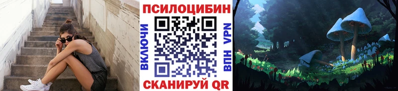 Галлюциногенные грибы Psilocybine cubensis  Ковров 